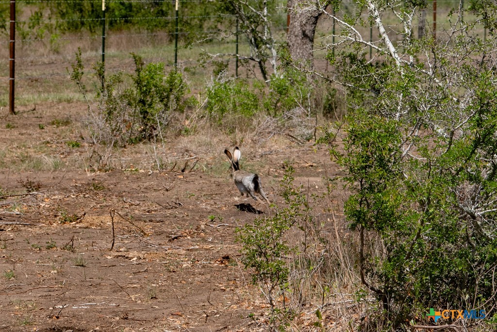 2632 Slickfield Road Yorktown, TX 78164 - Photo 25 of 33 a view of a lake with lots of trees