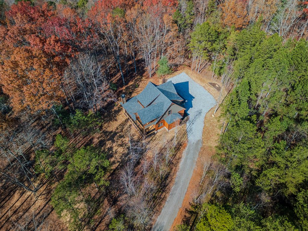 322 Ridge Brook Drive Morganton, GA 30560 - Photo 45 of 48 Gallery Image 45