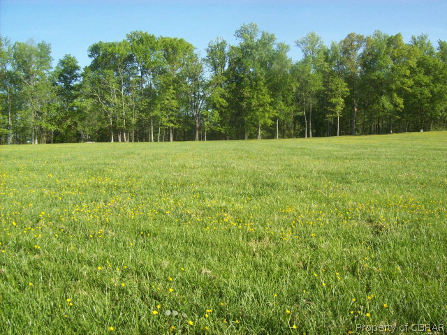 637 Long Point Road Center Cross, VA 22437 - Photo 3 of 8