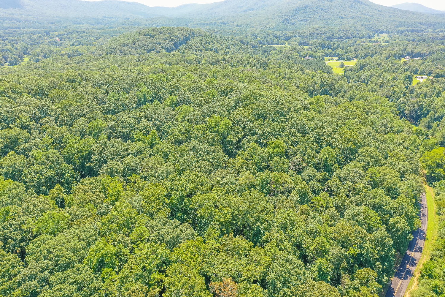 2930 Quarles Road Rocky Face, GA 30740 - Photo 6 of 11