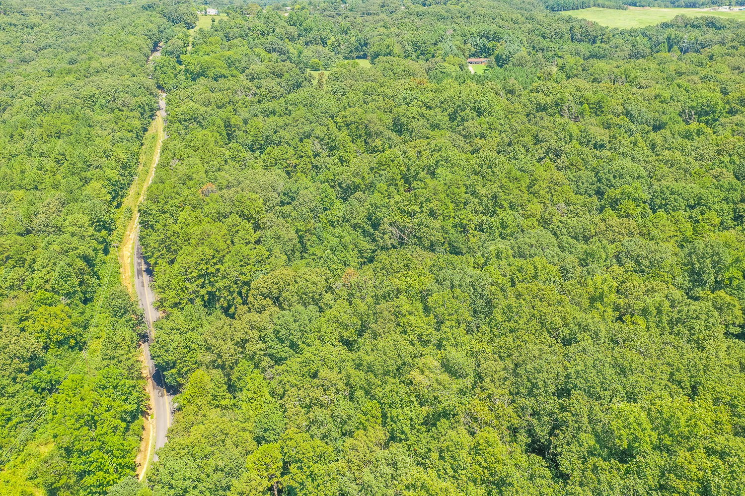 2930 Quarles Road Rocky Face, GA 30740 - Photo 7 of 11