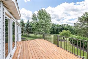 14346 Jerusalem Road Chelsea, MI 48118 - Photo 14 of 65