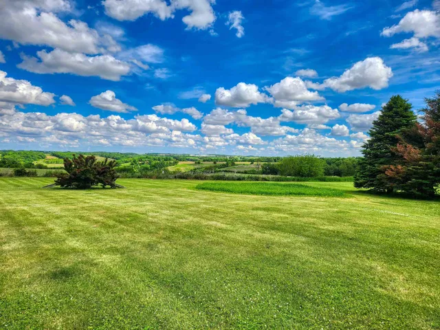 a view of a big yard with lots of green space