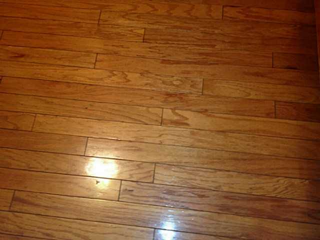 1180 Bernhard Road Columbus, OH 43227 - Photo 5 of 24 Gallery Image 5