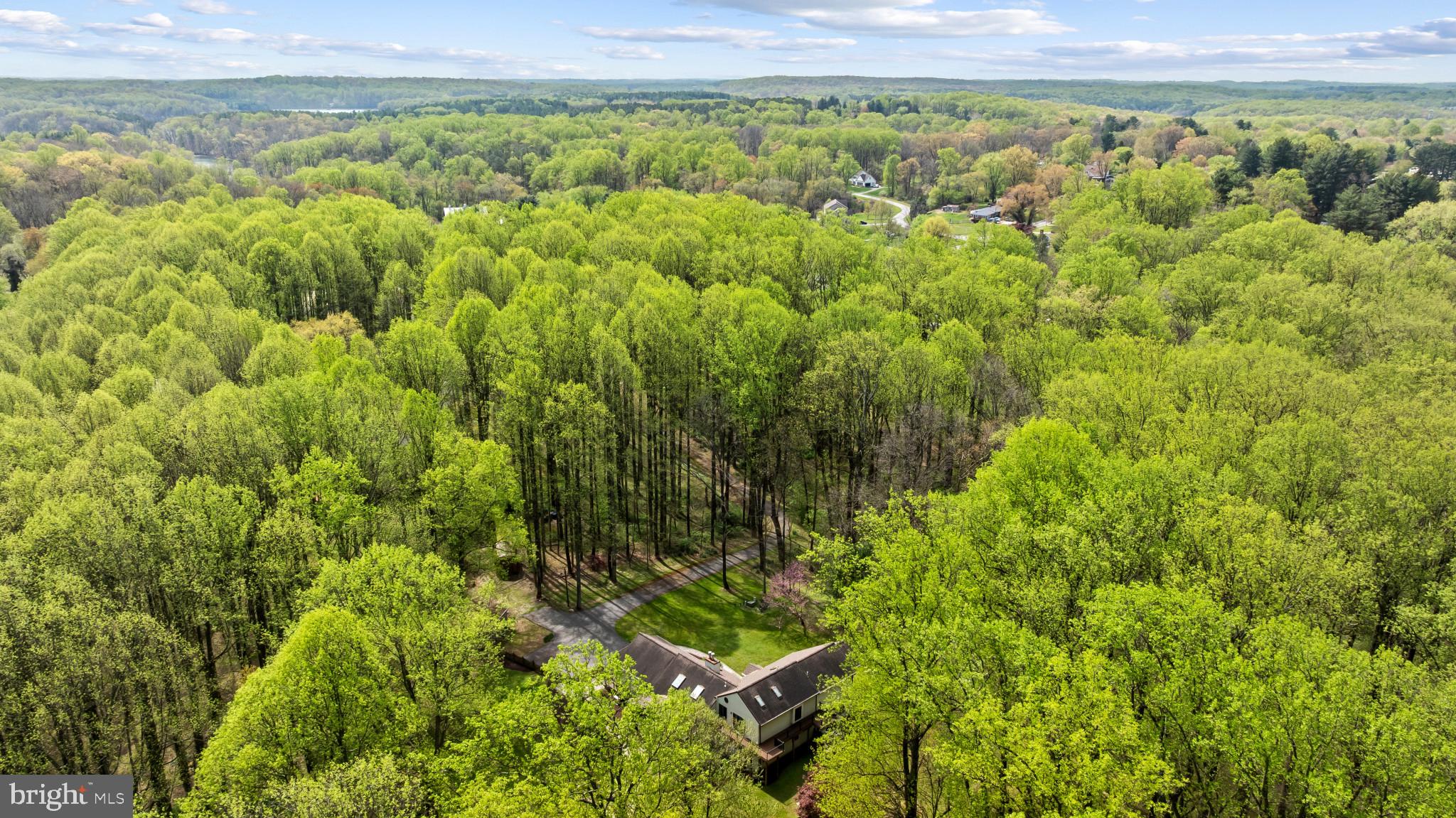 5816 Oakland Road Sykesville, MD 21784 - Photo 53 of 59 Huge Trees and Mature Landscaping 2.77 Acres