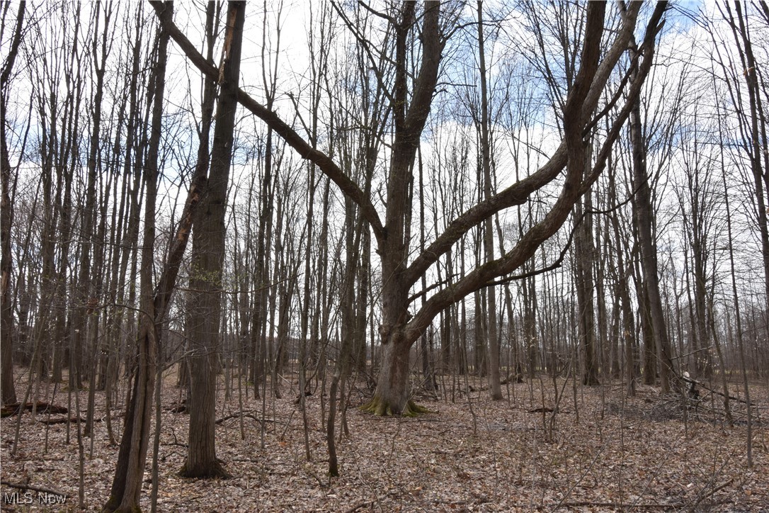 Vl Stollacker Road Jefferson, OH 44047 - Photo 10 of 14 Gallery Image 10