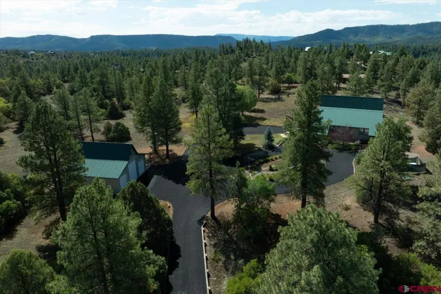 an aerial view of green landscape with trees houses and mountain view