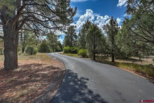 a view of a road with a trees