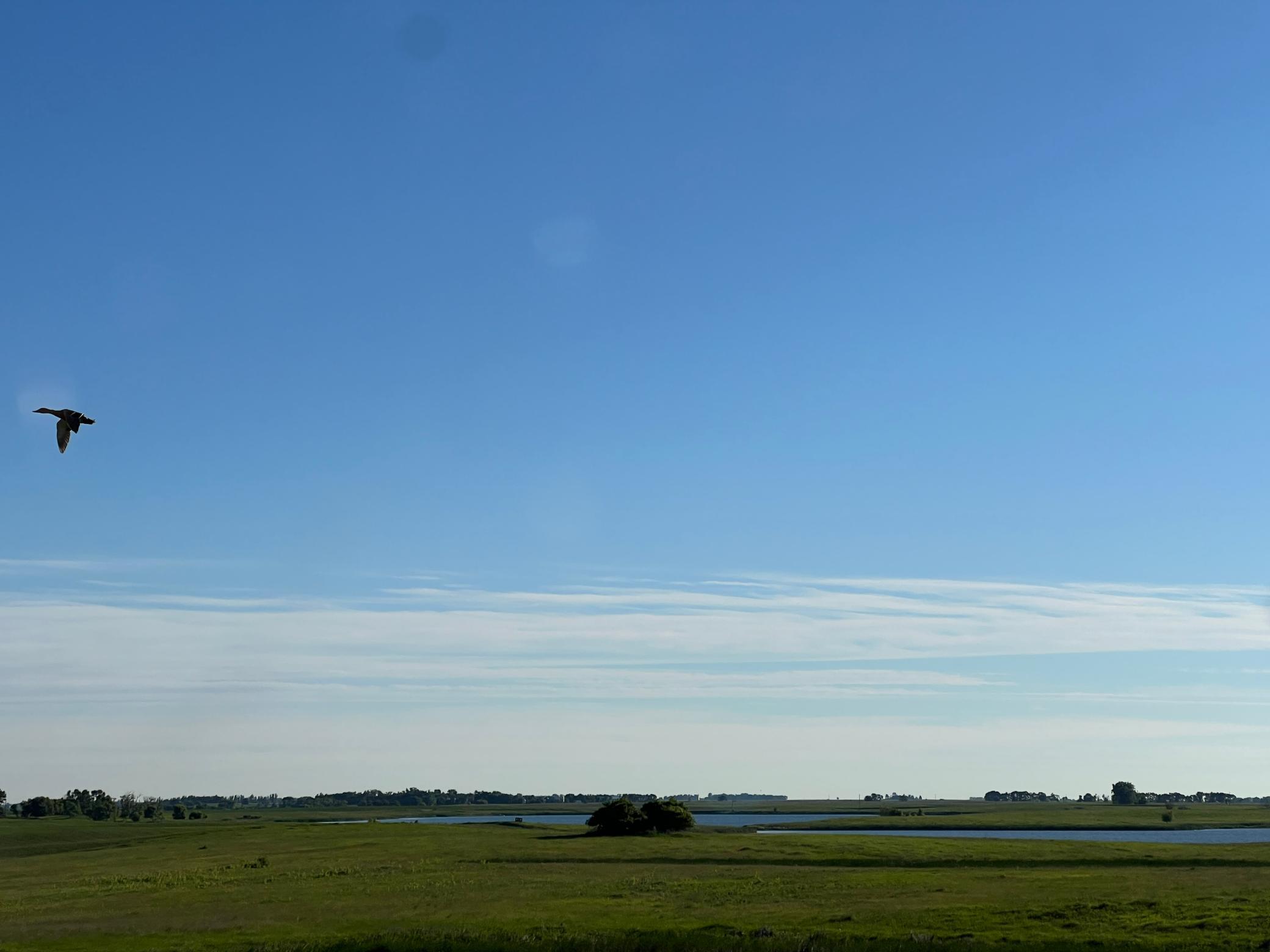 Tbd Southeast Tbd Se 90th Street Rutland, ND 58067 - Photo 23 of 105