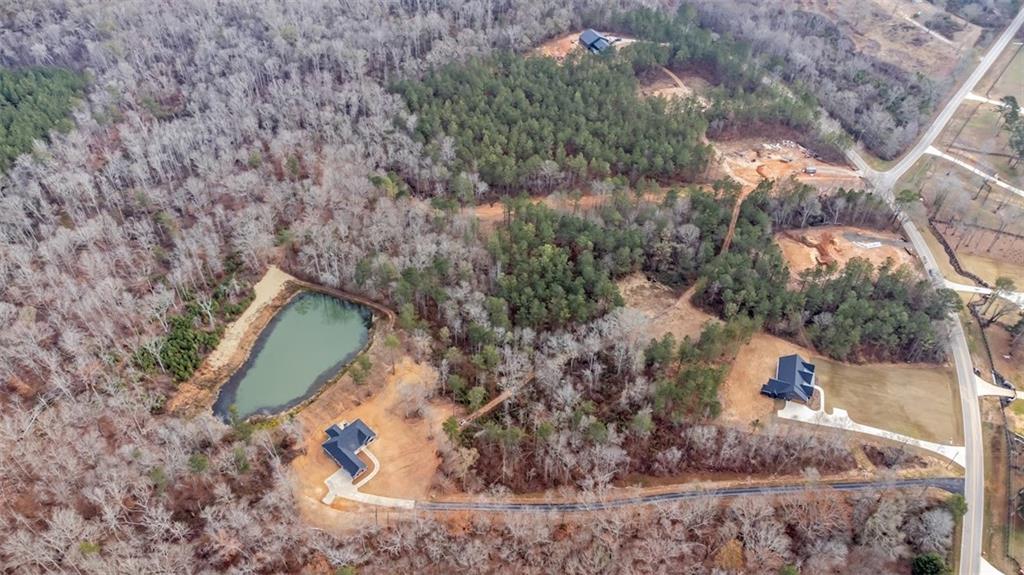 1360 Morgan Road Bremen, GA 30110 - Photo 53 of 57