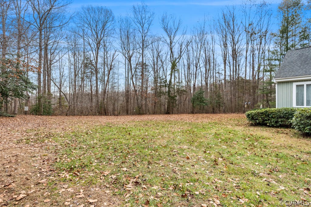 16262 Goshen Road Montpelier, VA 23192 - Photo 38 of 42 Back Yard