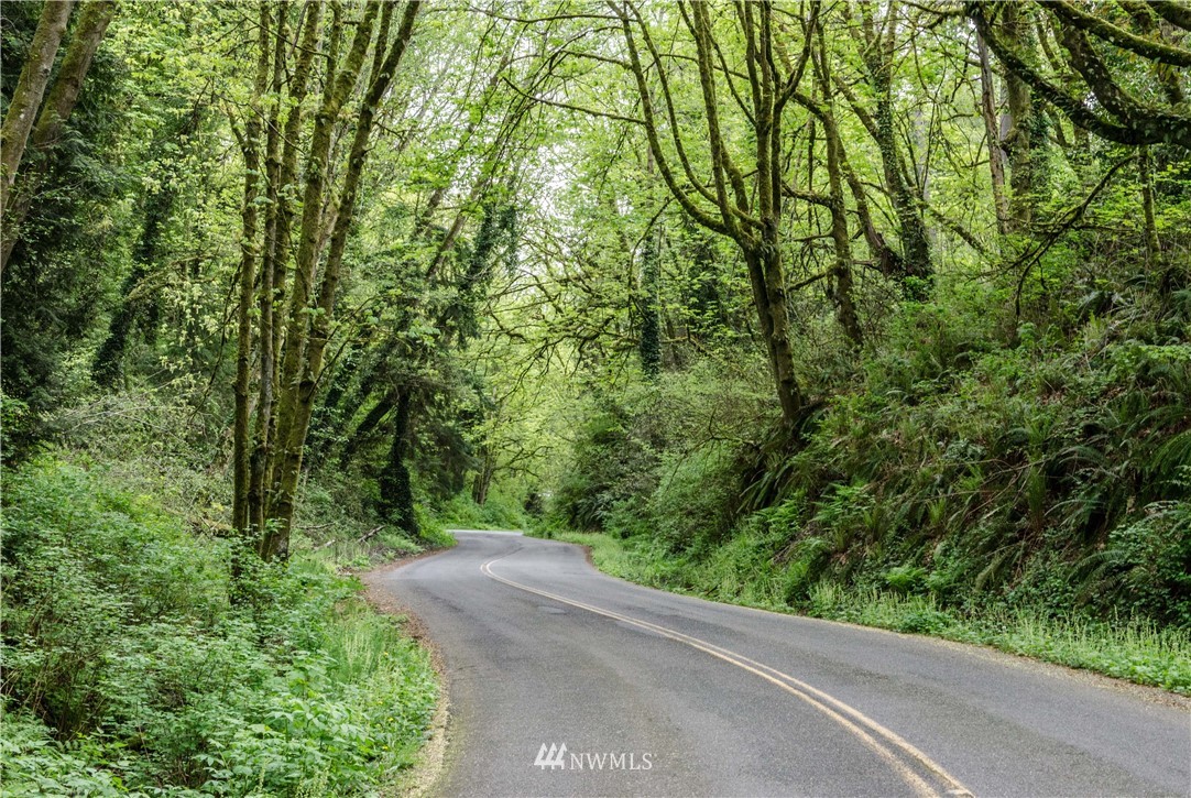 731 Woodmont Beach Road South Des Moines, WA 98198 - Photo 36 of 40 a view of a road from a forest