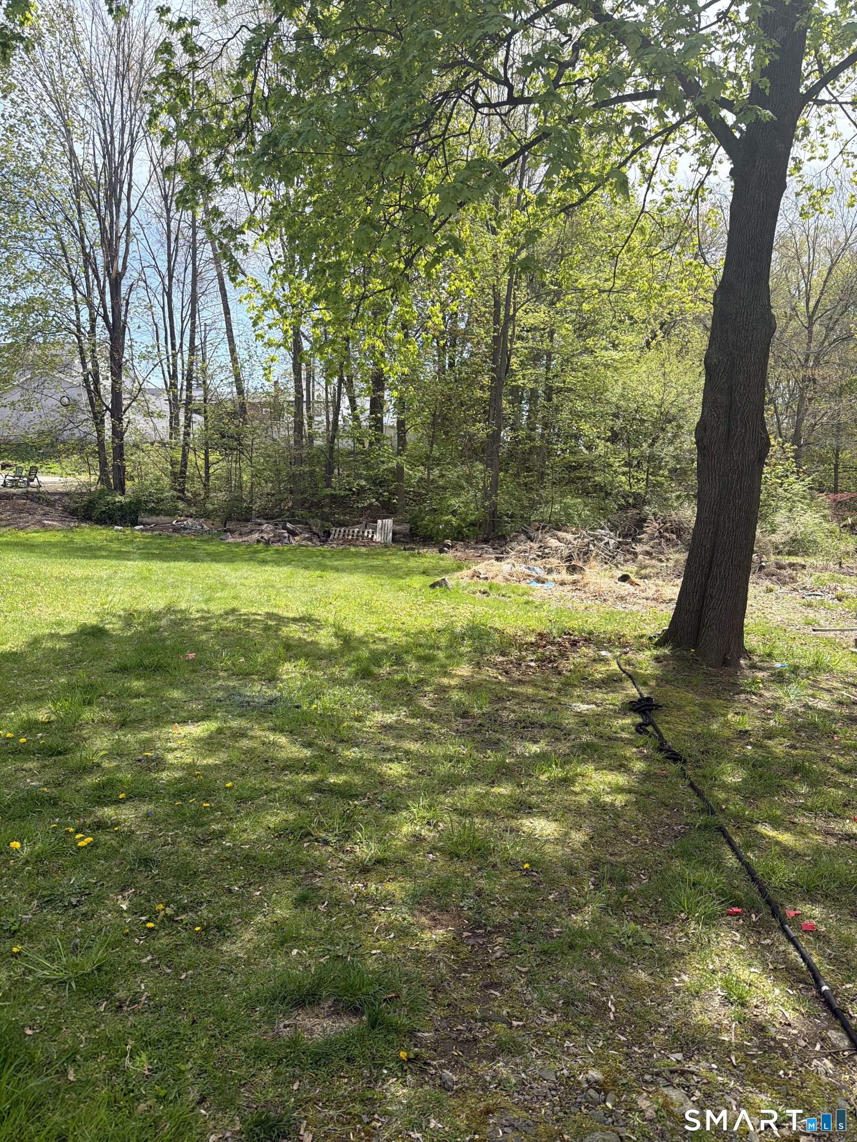 5 Eagle Street Plymouth, CT 06786 - Photo 2 of 5 a view of a trees with a yard