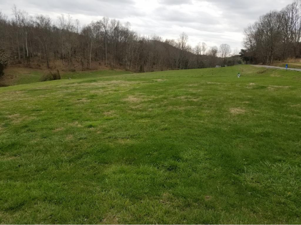 675 Fordtown Road Fall Branch, TN 37656 - Photo 4 of 12 Photo 4