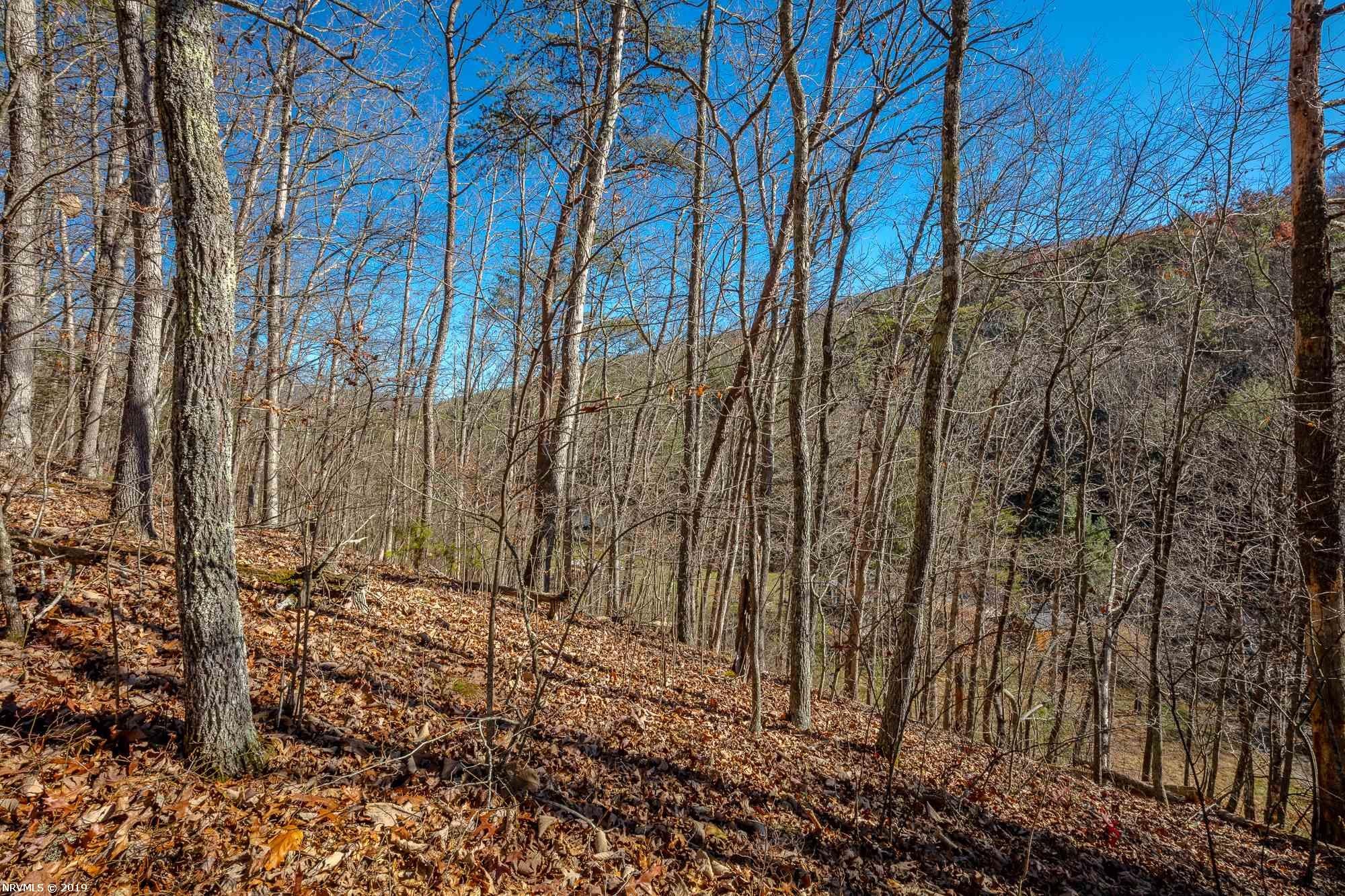 Tbd Mudlick Road Wytheville, VA 24382 - Photo 24 of 44 Gallery Image 24