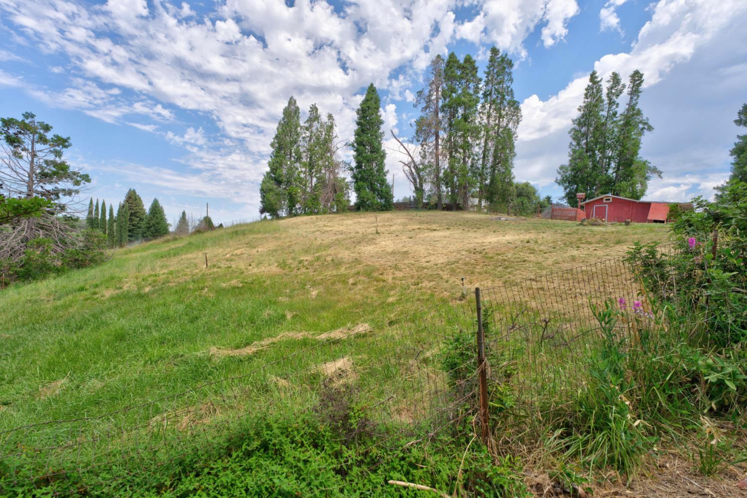 9797 Mt Vernon Road Auburn, CA 95603 - Photo 47 of 56