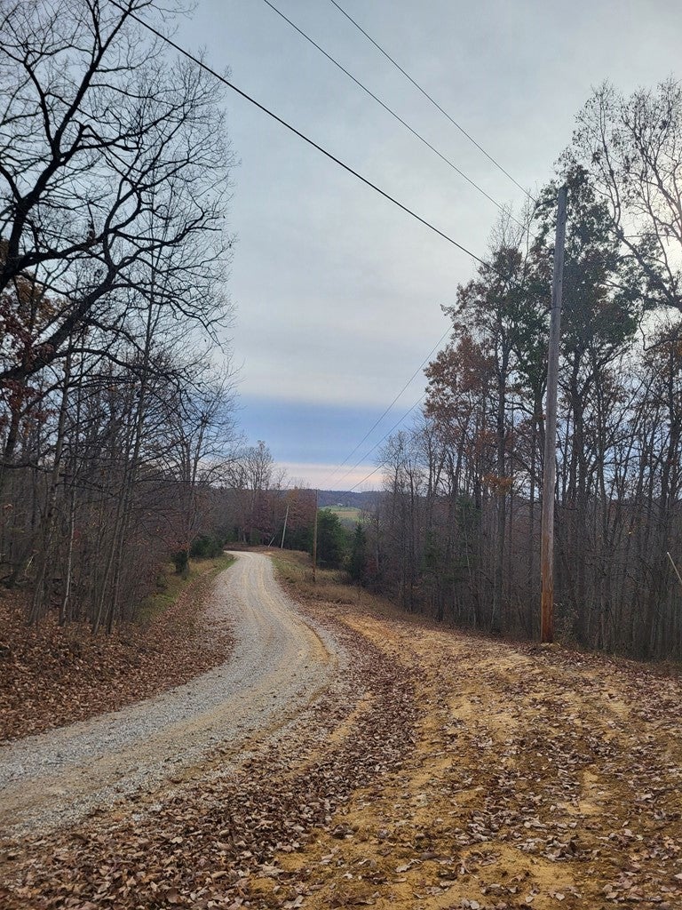 0 Neff Bratton Road South Webster, OH 45682 - Photo 10 of 25 Gallery Image 10