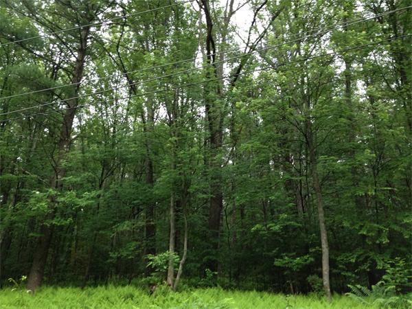 - Rr Locust Grove Road Merrimac, MA 01860 - Photo 1 of 2 Gallery Image 1