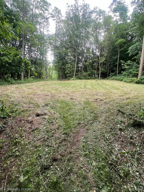 0 Ducker Road Marlette, MI 48453 - Photo 20 of 44
