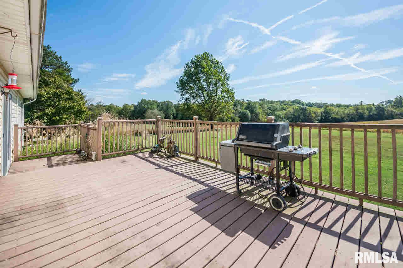 2140 Ava Road Murphysboro, IL 62966 - Photo 41 of 50
