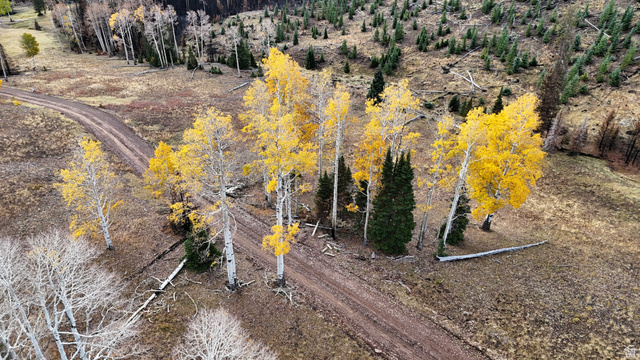 123 Tbd Monroe Canyon Road Monroe, UT 84754 - Photo 20 of 80 Bird's eye view