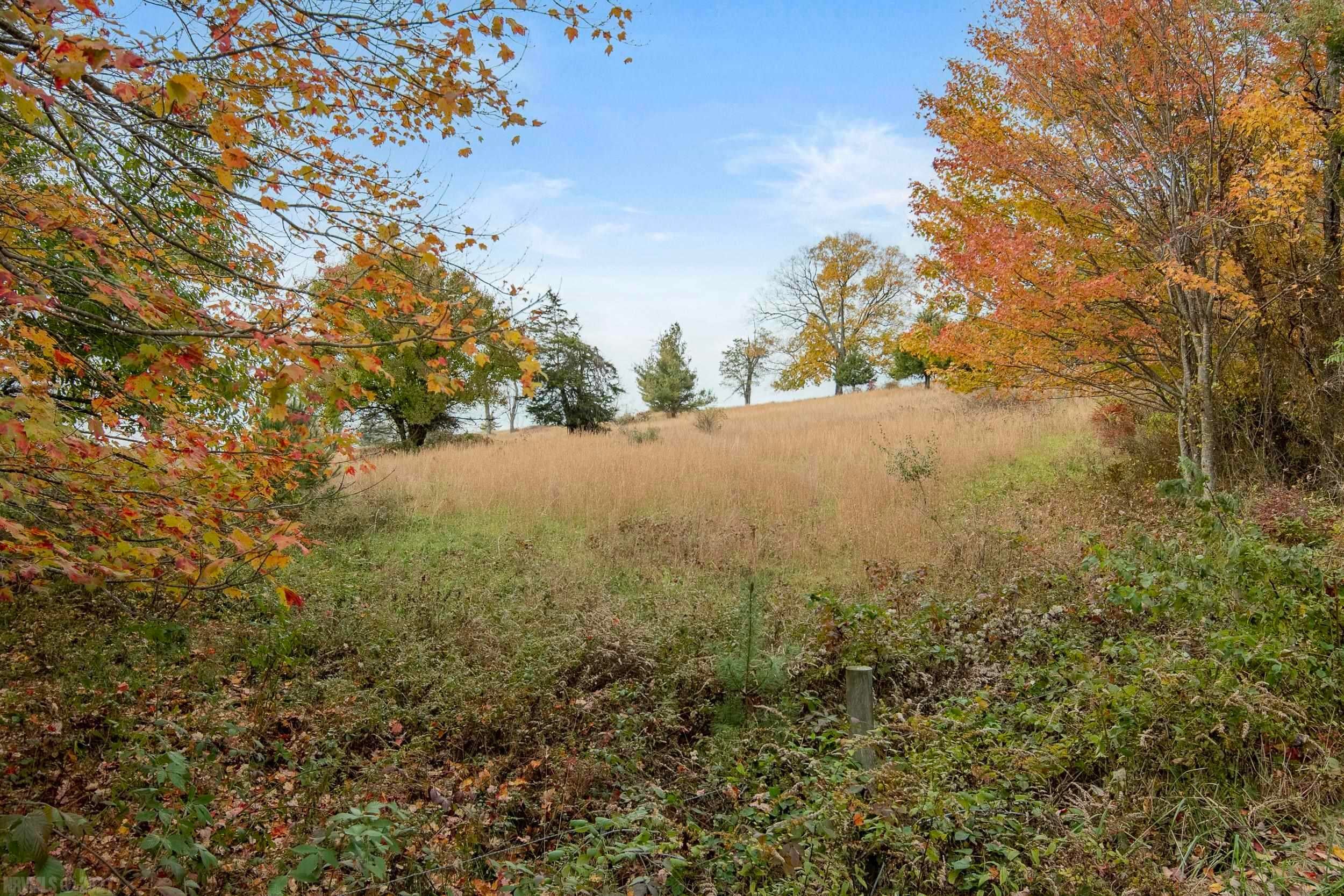 0 Merifield Road Northwest Willis, VA 24380 - Photo 2 of 28 Gallery Image 2