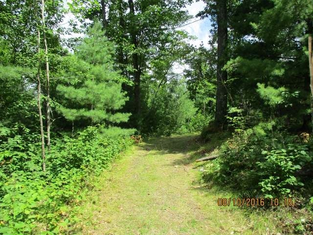 9802 Bolger Lake Road Minocqua, WI 54548 - Photo 16 of 20 Gallery Image 16