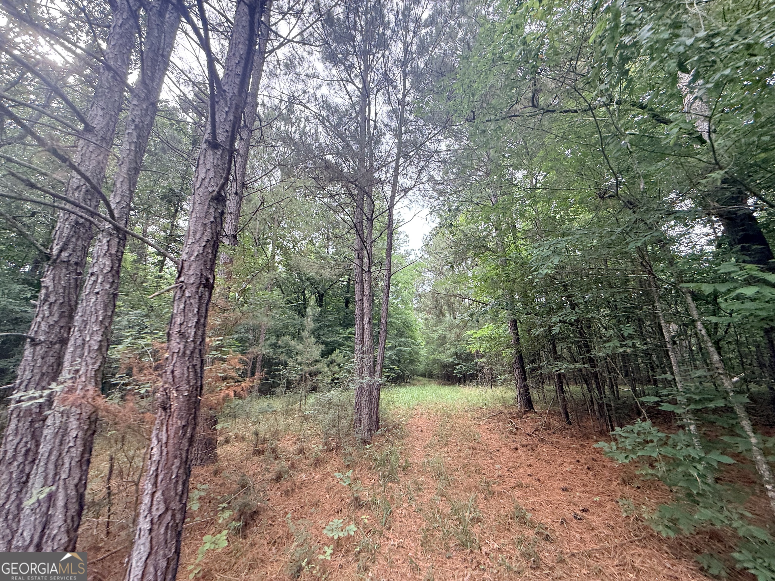 3 Bethesda Church Road Lexington, GA 30648 - Photo 36 of 60