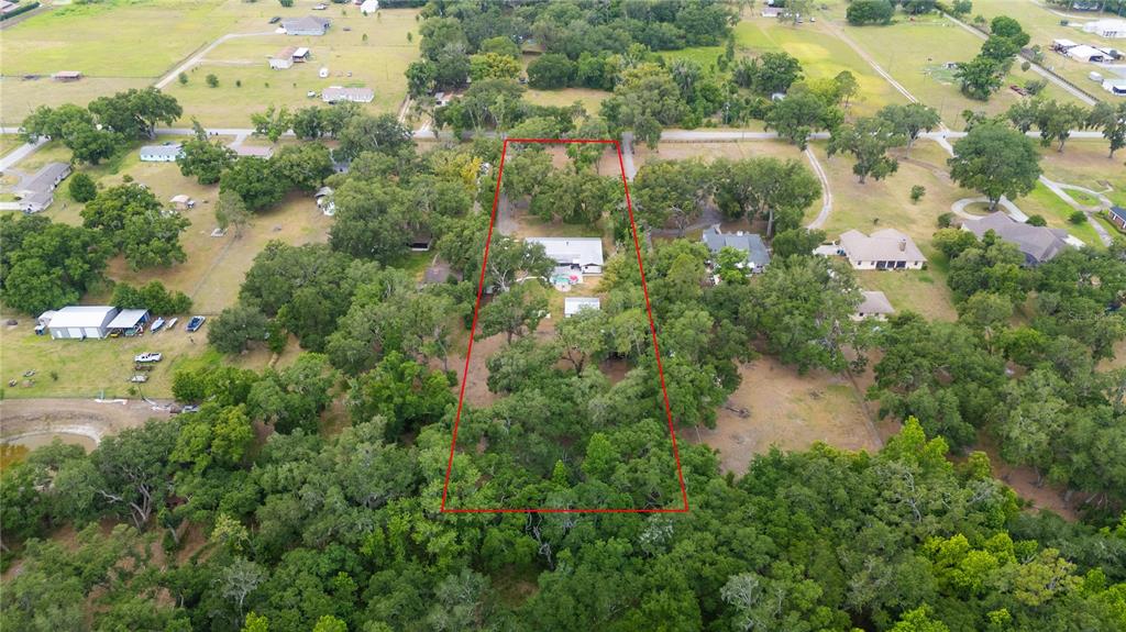 4314 Strauss Road Plant City, FL 33565 - Photo 58 of 67 Gallery Image 58