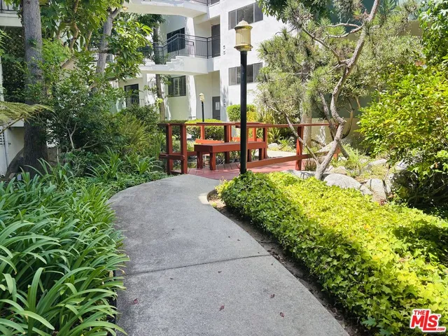a view of a garden with plants
