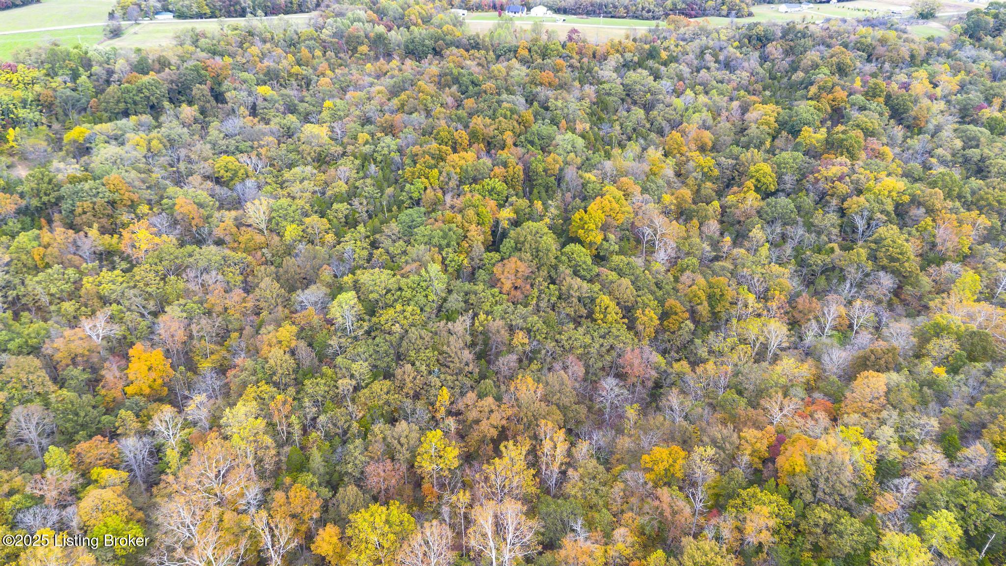 Lot 8 Bray Ridge Road Bedford, KY 40006 - Photo 43 of 46 BrayRidgeRd_783