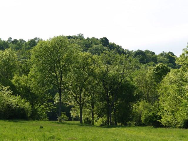 4 B B Dodson Road Columbia, TN 38401 - Photo 3 of 8