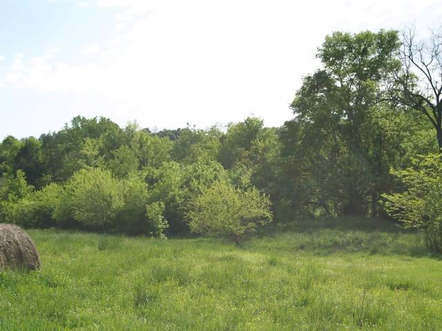 4 B B Dodson Road Columbia, TN 38401 - Photo 4 of 8