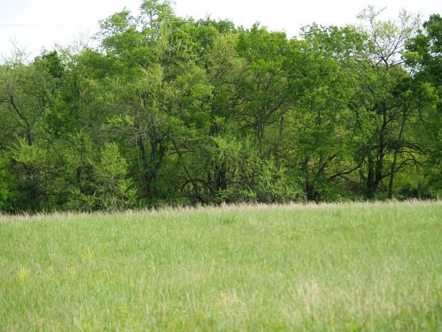 4 B B Dodson Road Columbia, TN 38401 - Photo 7 of 8