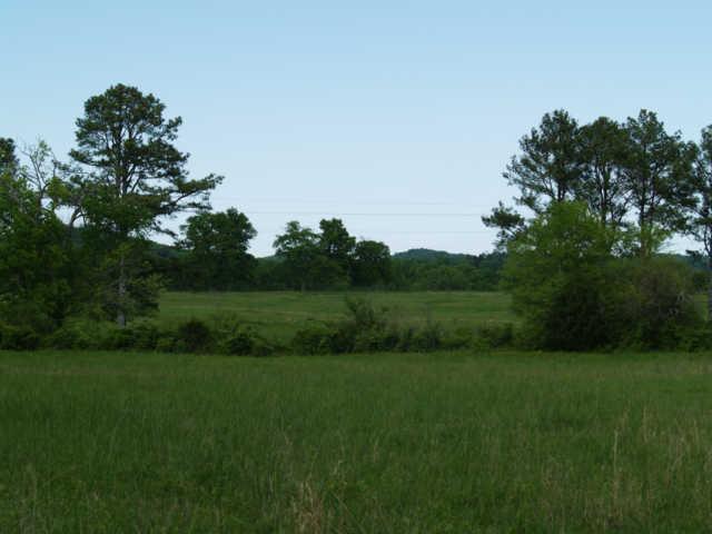 4 B B Dodson Road Columbia, TN 38401 - Photo 8 of 8