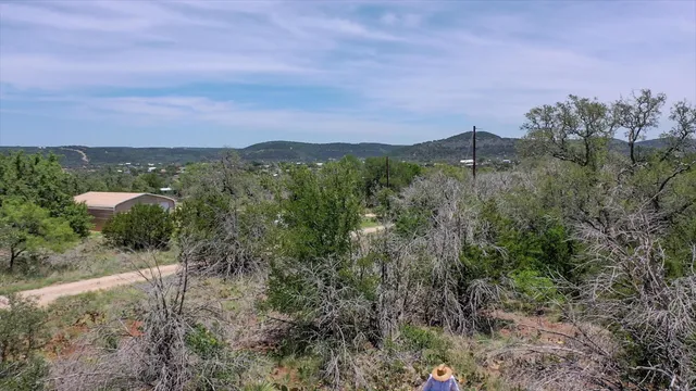 a view of a field of grass and trees