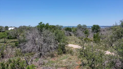 a view of a park with large trees