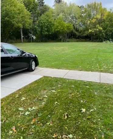 a view of backyard with trampoline