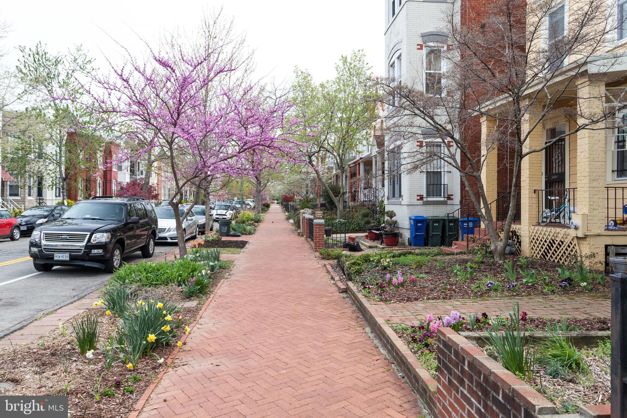 911 2nd Street Northeast, Unit 305 Washington, DC 20002 - Photo 34 of 34