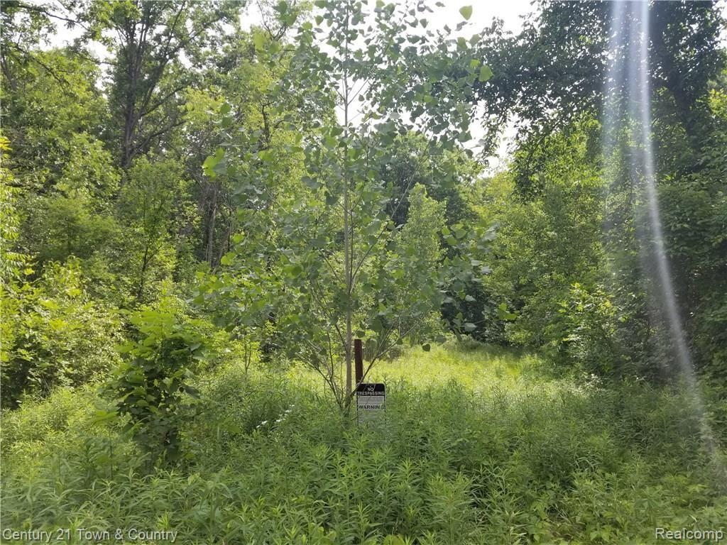Vacant) Baldwin Road Clarkston, MI 48348 - Photo 1 of 6