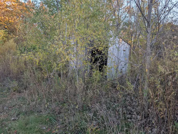 a view of a house with a lush green forest