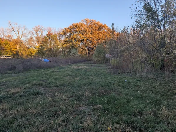 a view of a lush green space