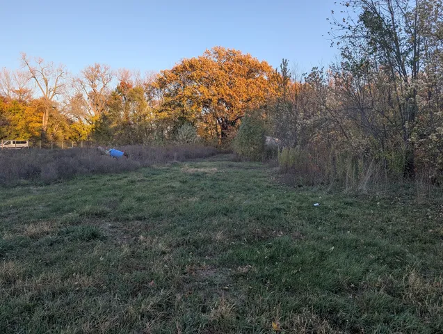 a view of a lush green space