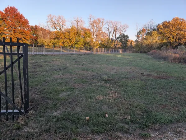 a view of a field with trees in the background