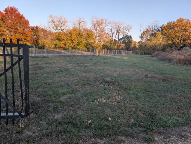 a view of a field with trees in the background