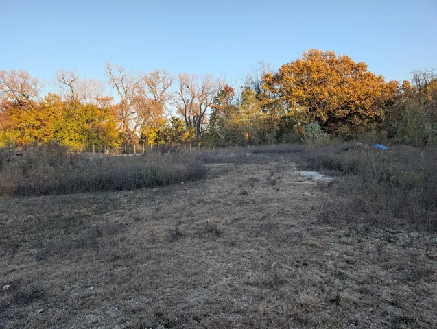 a view of backyard with green space