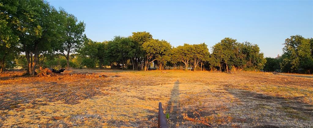 592 Pike Road Gunter, TX 75058 - Photo 29 of 40 View of yard