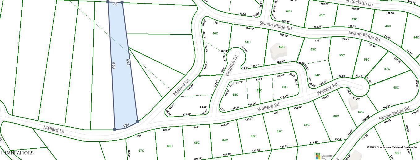 Mallard Road Celina, TN 38551 - Photo 10 of 10 COURTHOUSE PLAT