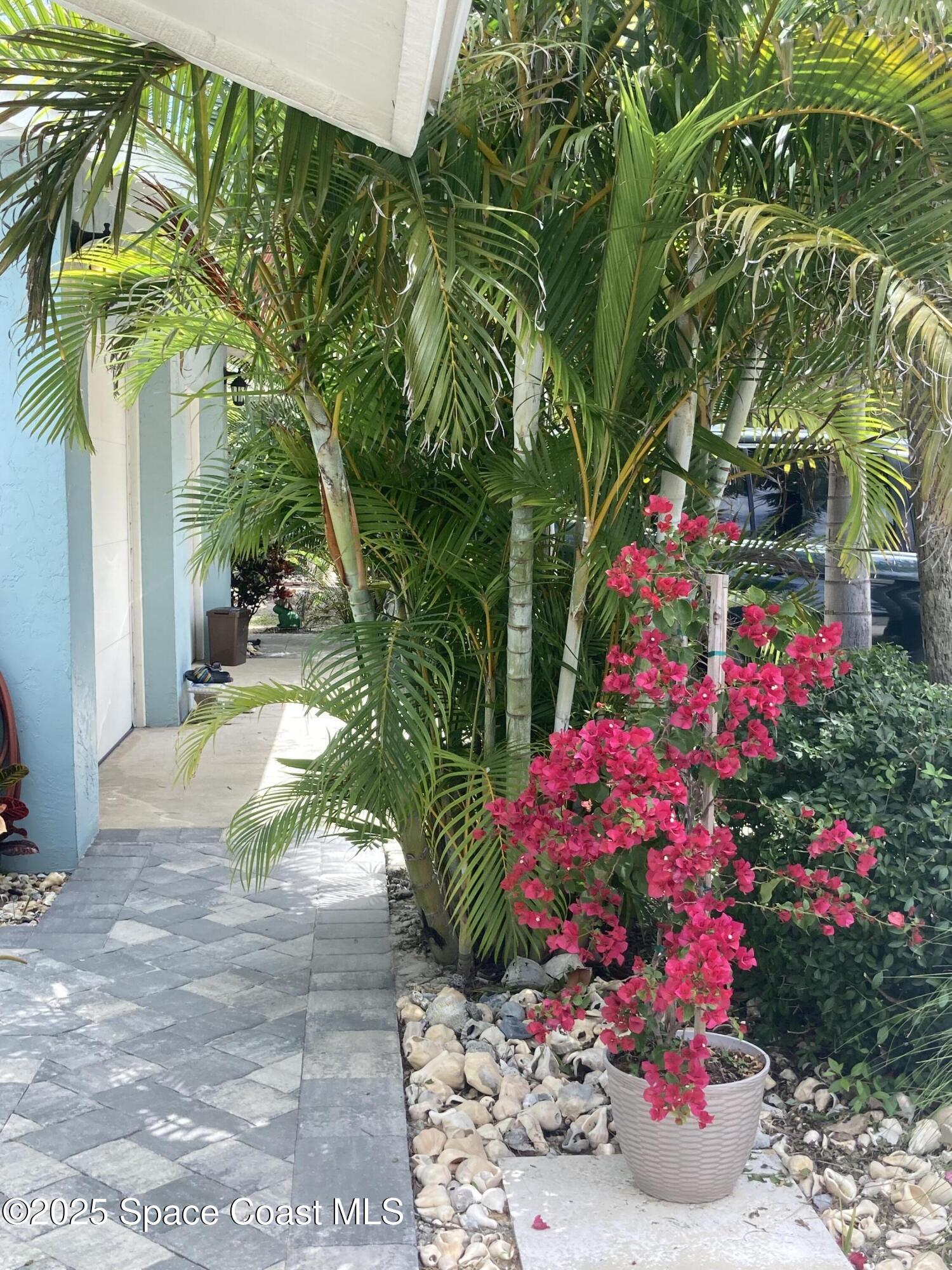 7 Cove Road Melbourne Beach, FL 32951 - Photo 3 of 55 a view of a flower in a yard