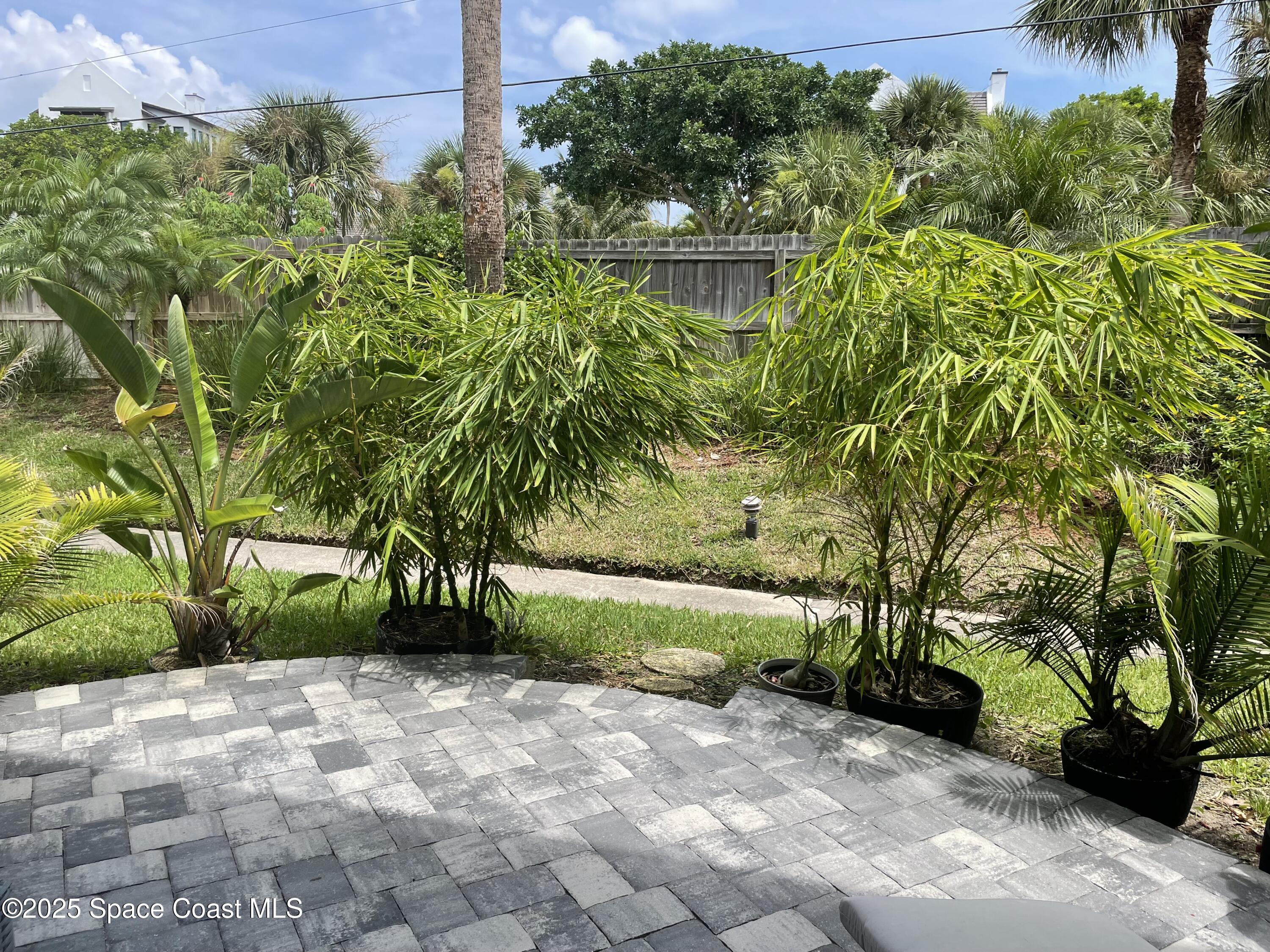 7 Cove Road Melbourne Beach, FL 32951 - Photo 45 of 55 a view of a yard with plants and large trees